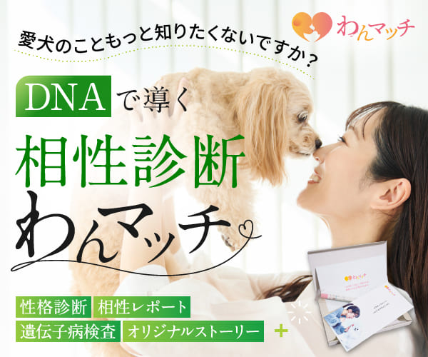 愛犬のDNAで導く相性診断・性格分析サービス【わんマッチ】