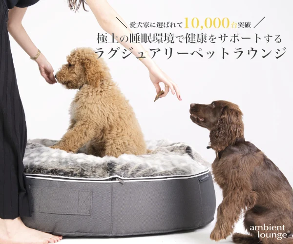 愛犬家に選ばれて1万台突破！極上の睡眠環境で健康をサポートする高級ペットベッド「ラグジュアリーペットラウンジ」
