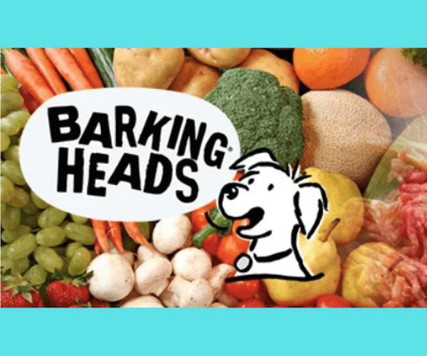 無添加で栄養満点の犬用フードと野菜ミックス